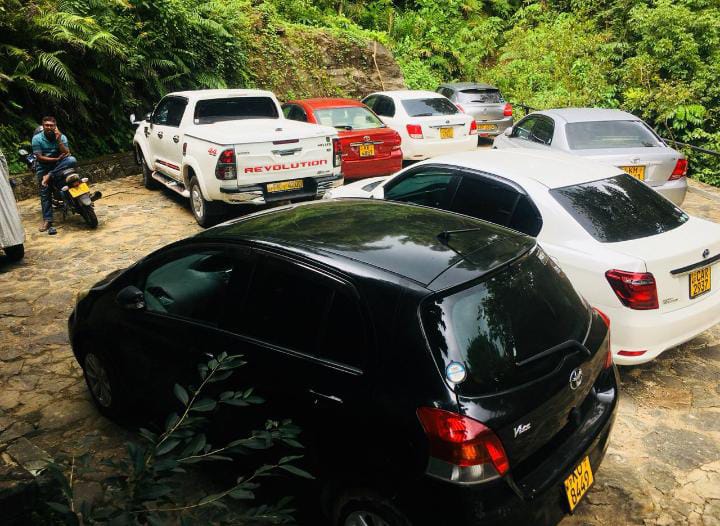 Access road to Forest Shade
